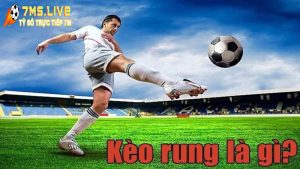 Kèo rung là gì? Hướng dẫn cách xem kèo rung hiệu quả nhất