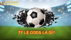 Odds là gì? Những dạng odds cơ bản trong cá độ bóng đá