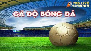 Tổng hợp những trang cá độ bóng đá tuy tín nhất Việt Nam