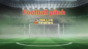Football pitch trong bóng đá là gì? Quy định cơ bản về Football pitch