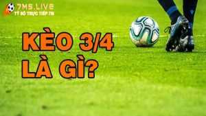 Kèo tài xỉu 3/4 là gì? Cách đánh kèo tài xỉu 3/4 chi tiết nhất