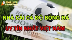 Top các trang web cá độ bóng đá uy tín nhất hiện nay