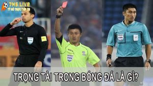 Trọng tài trong bóng đá là gì? Nhiệm vụ của trọng tài trên sân